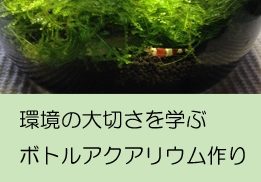 セミナー＆ワークショップ『木・土・草・人と風と太陽』　【人と風と太陽】